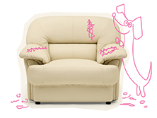 schade door huisdieren