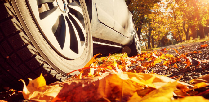 Rij veilig in de herfst: de 6 beste tips Rij veilig in de herfst: de 6 beste tips